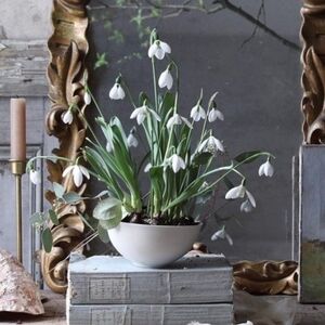 Meet your Posher, Krissy